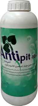 Antipit