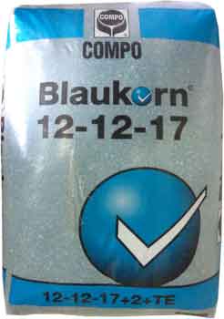 بلوكورن  Blaukorn